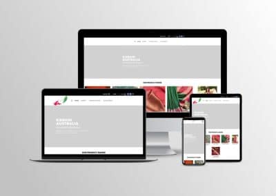 E-Commerce website design Brisbane